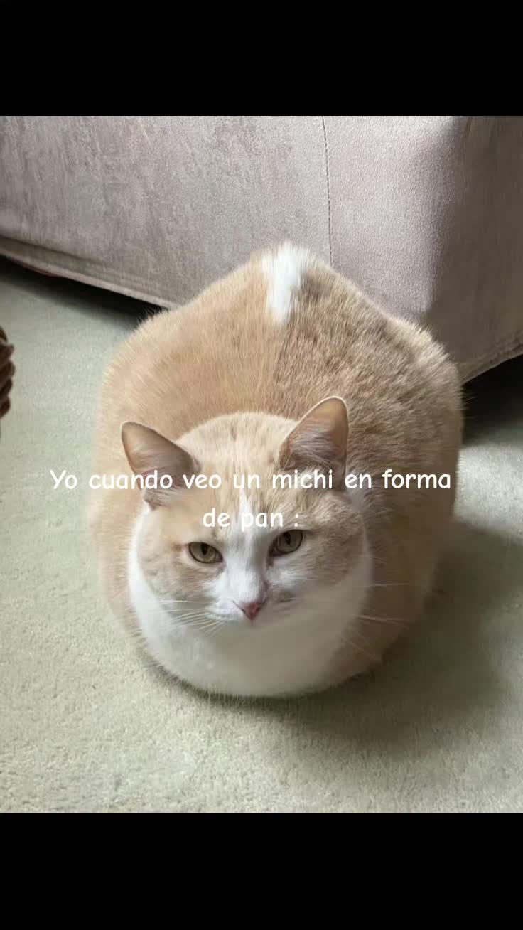 @𝗦𝗼𝘆_𝘃𝗶𝗰𝗸𝘆𝘆𝙓𝘿💫