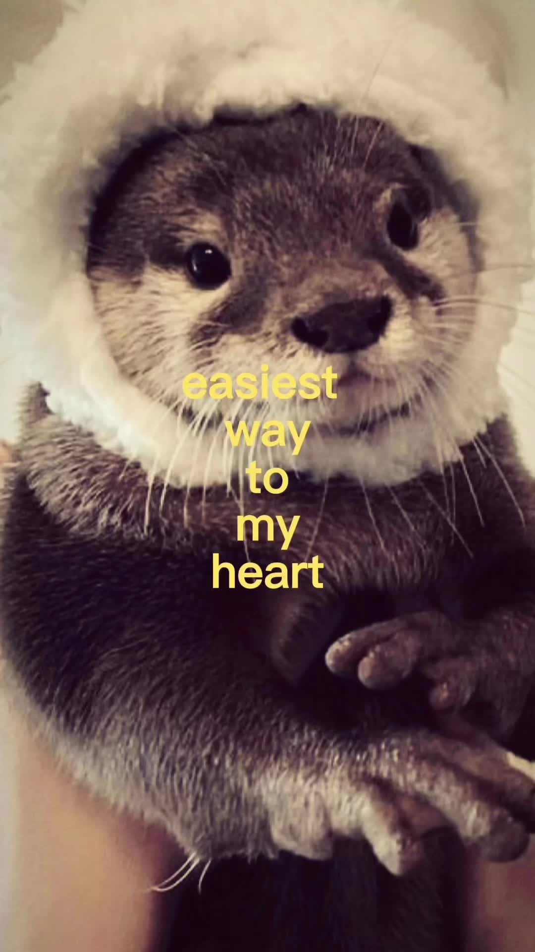 @𝓂