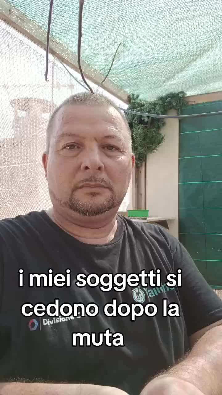 @Leonardo Dellacorte