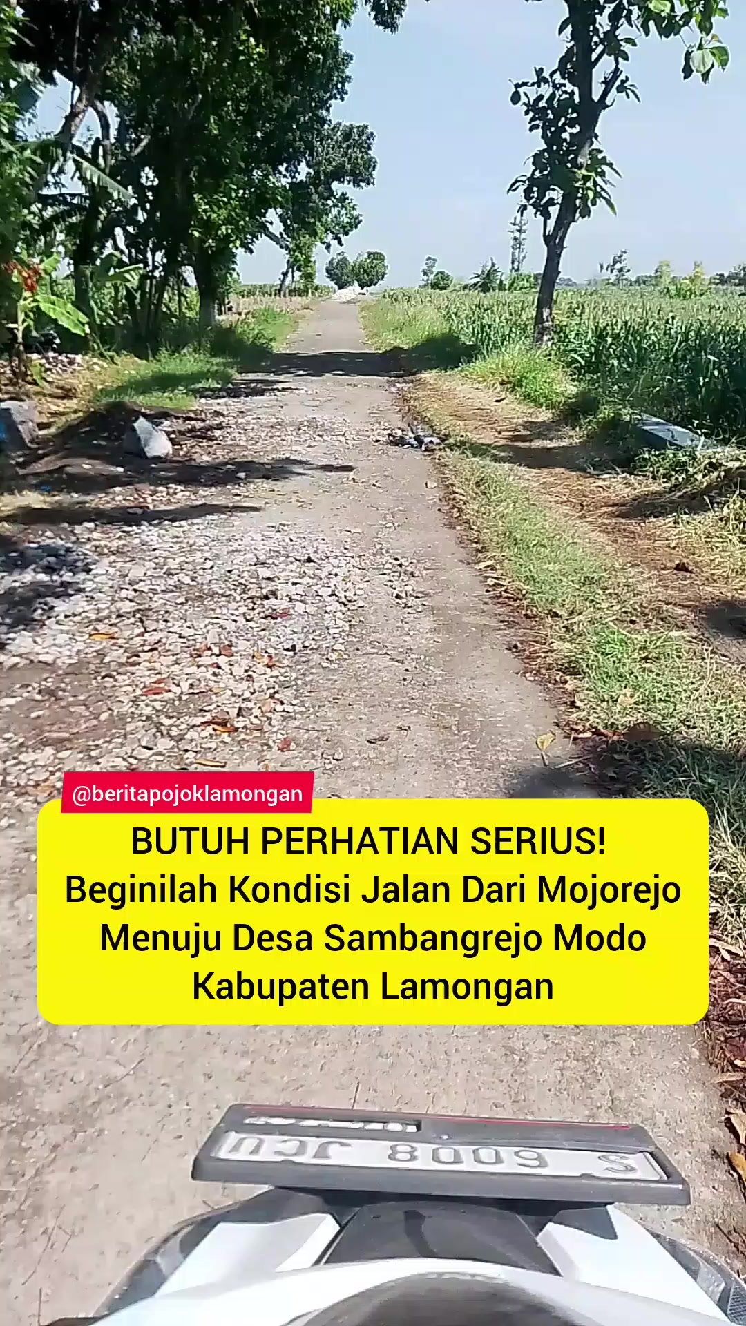 @BERITA POJOK LAMONGAN