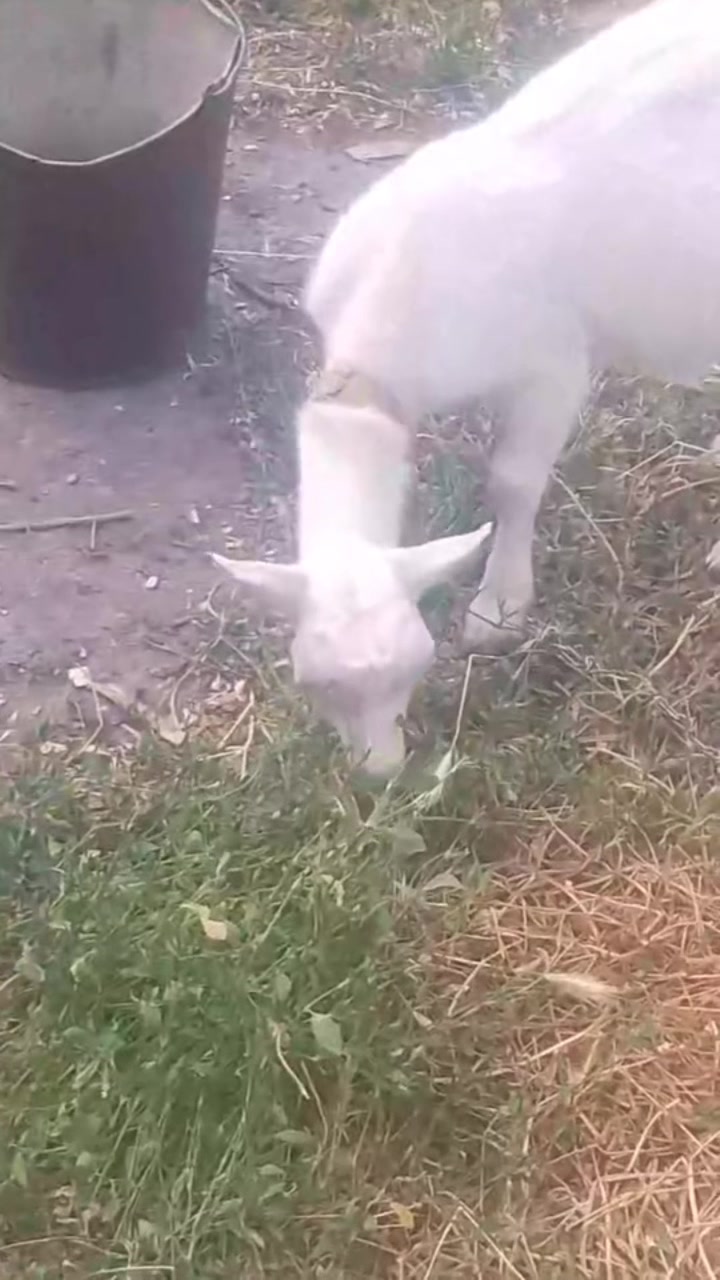 @Аля Усова