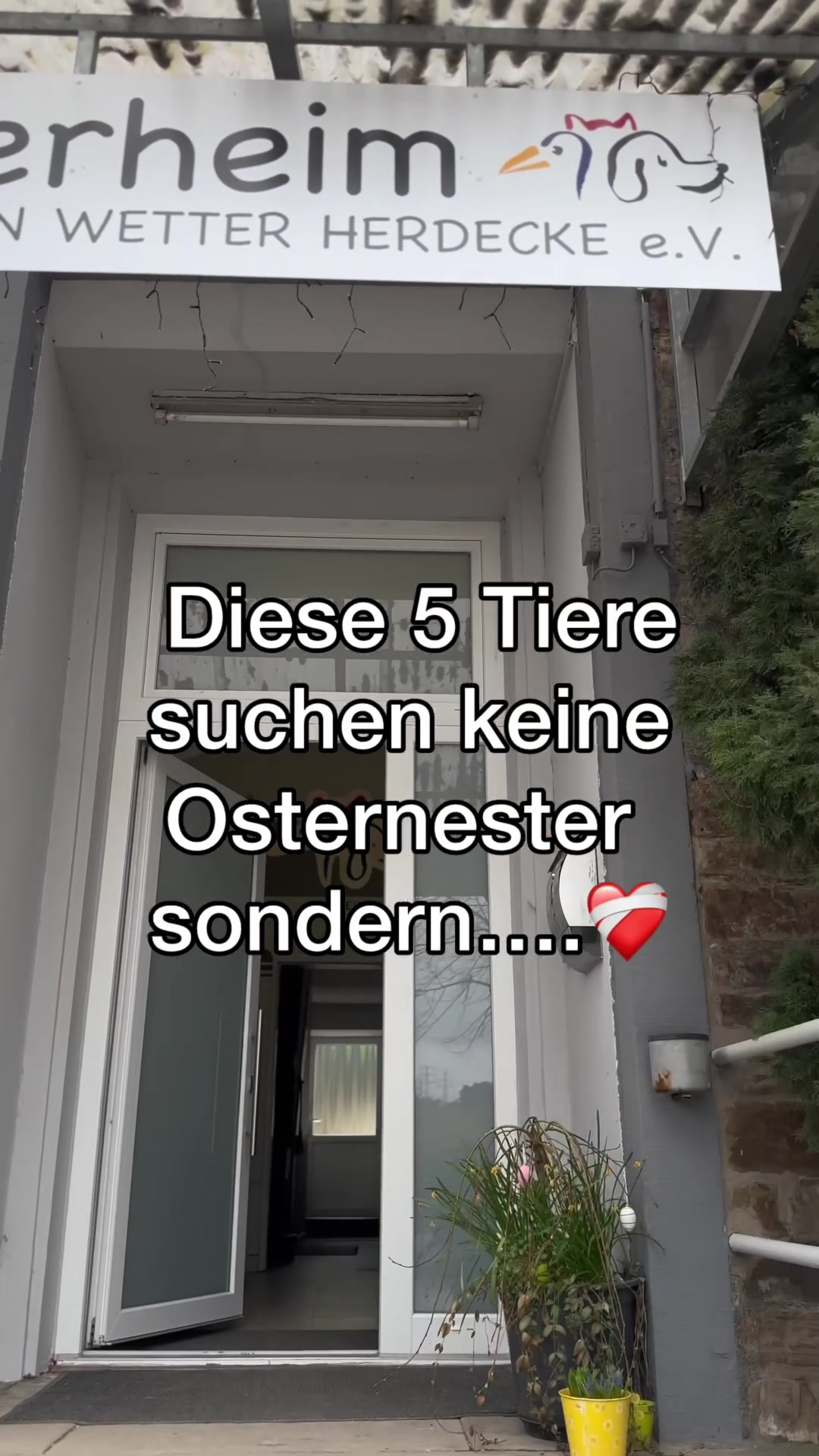 @Tierheim Witten e.V.
