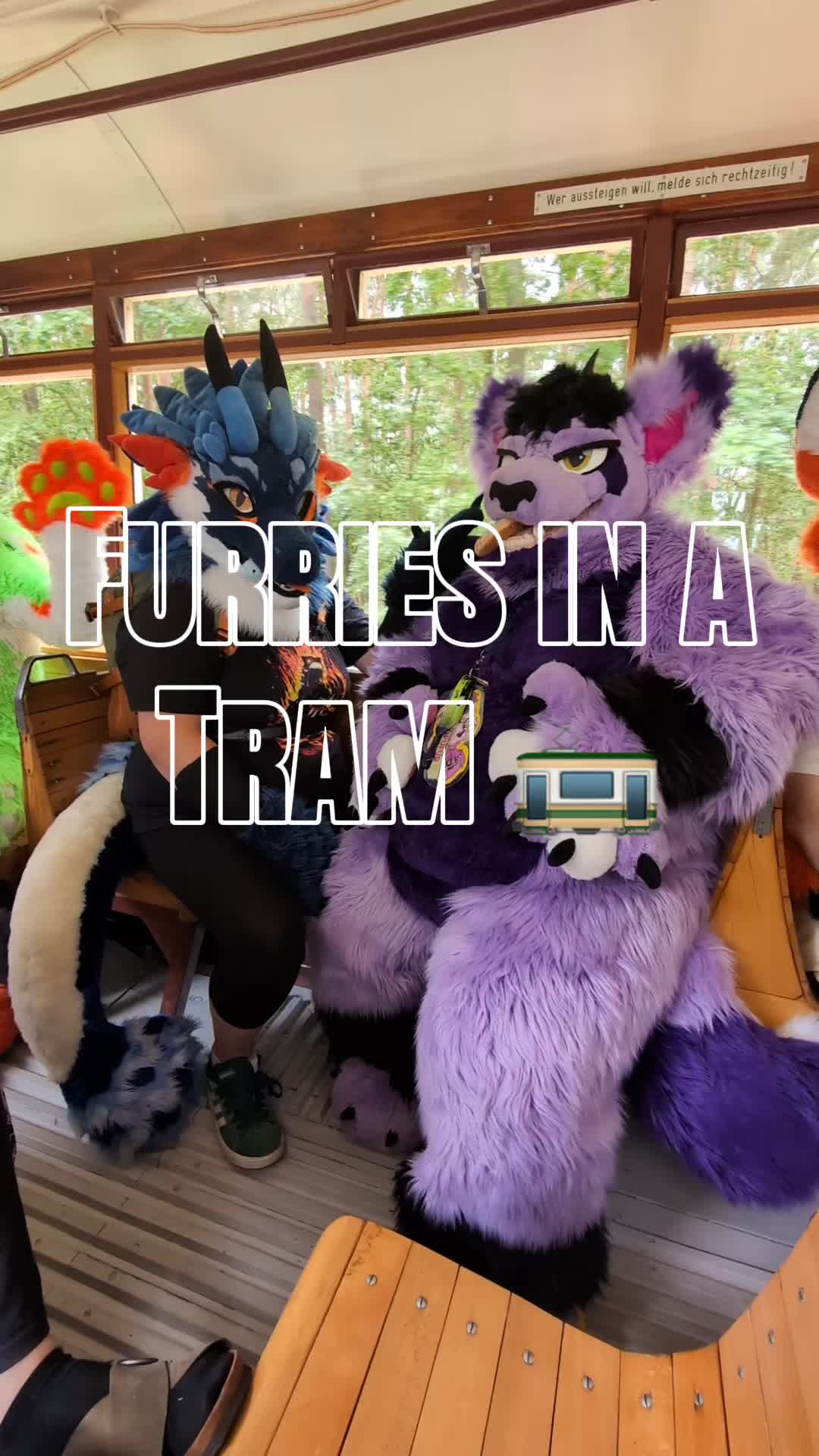 @Whootwolf
