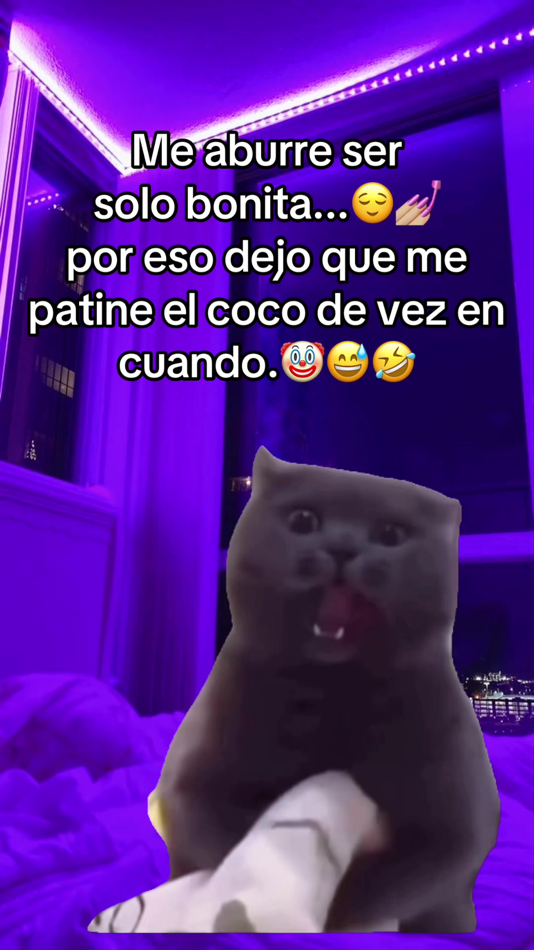 @nidia ✨
