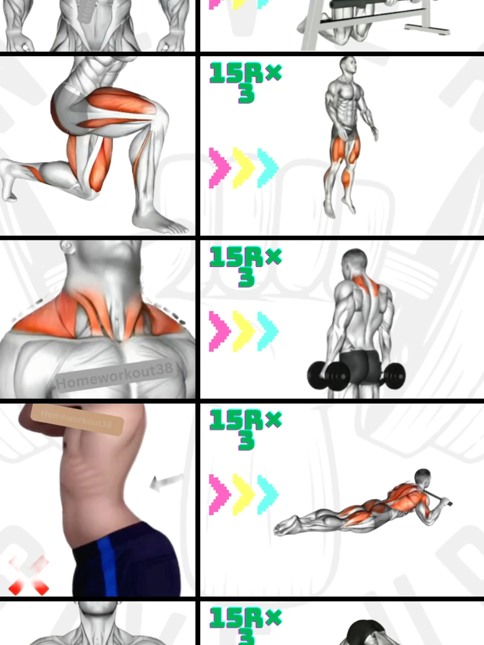 @HOMEWORKOUT