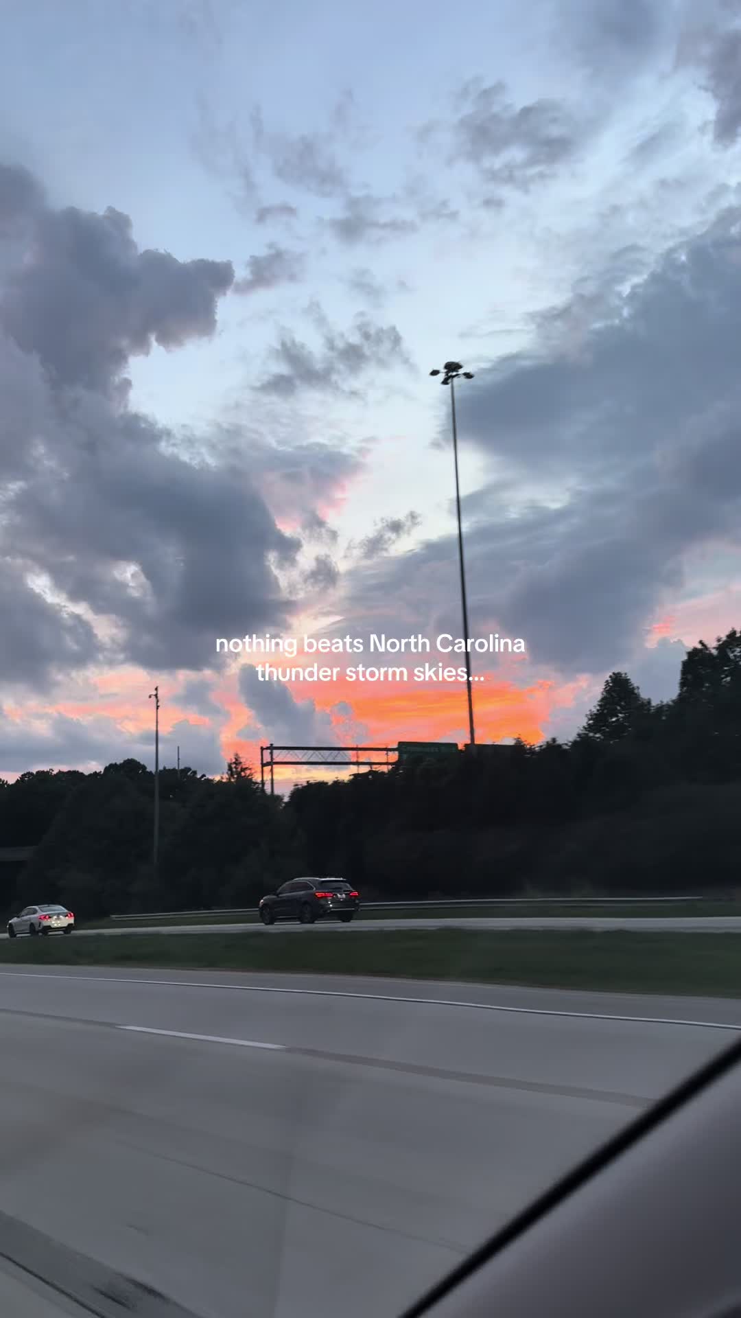 @Ellie Brizuela 🤍 Raleigh, NC