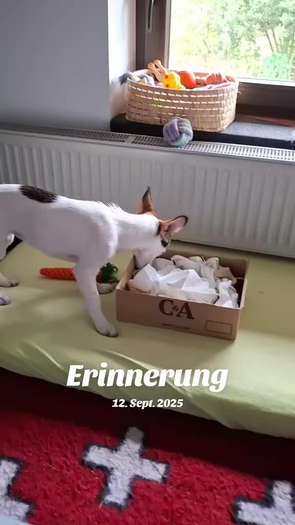 @Maya'sAbenteuer_HexeErinnerung