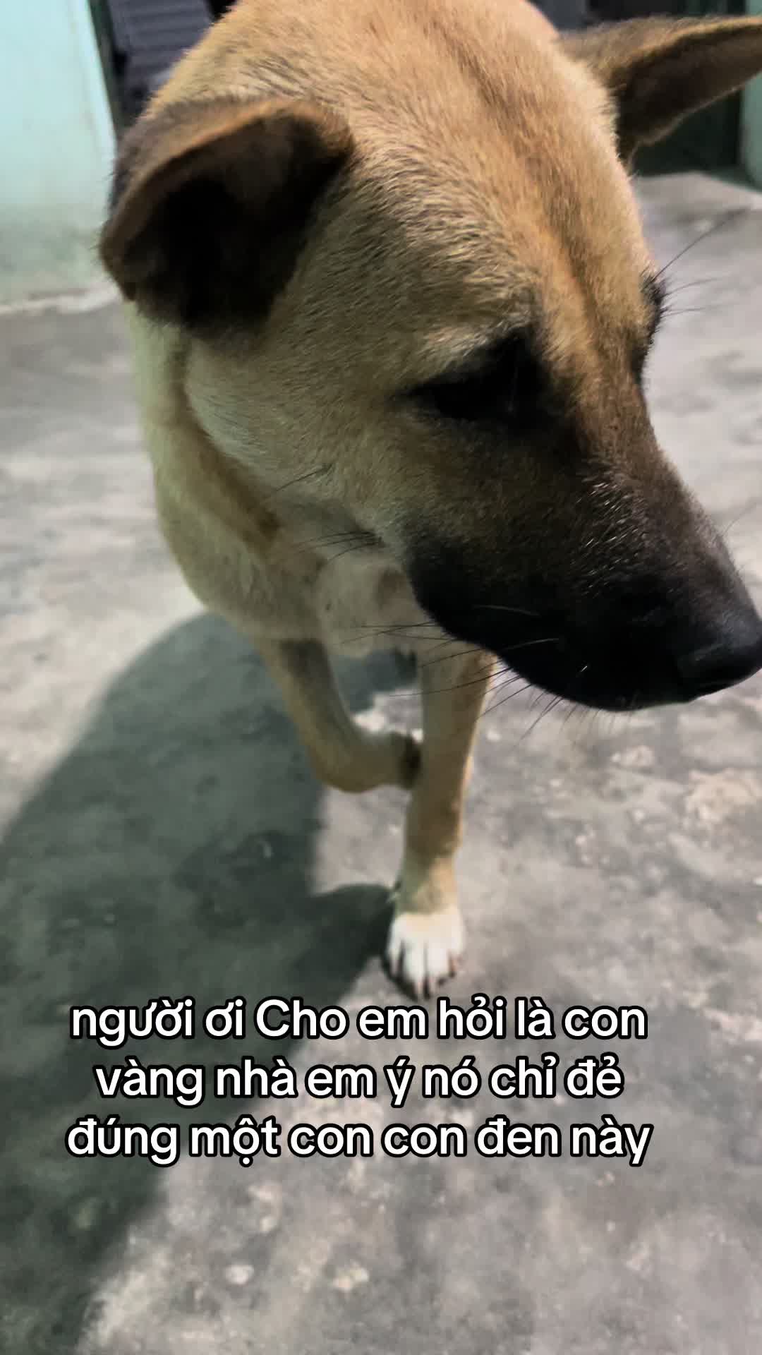 @Khi N&agrave;o Trắng Th&igrave; Đổi T&ecirc;n(Đen)