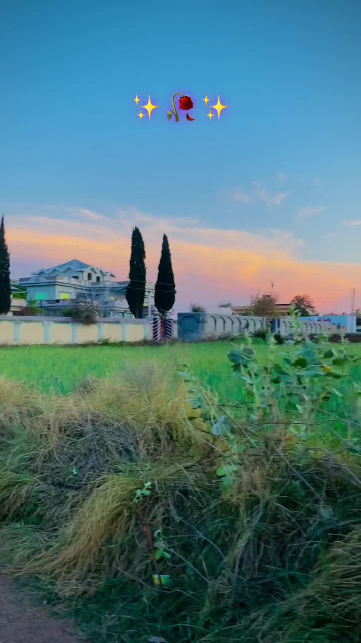 @پڑھال آلے ۔🦋🥀