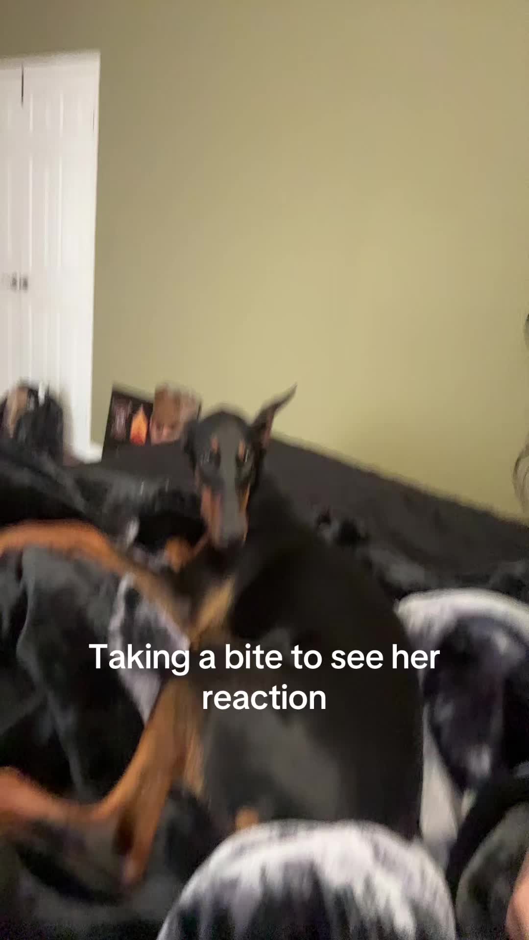 @frijolserahui