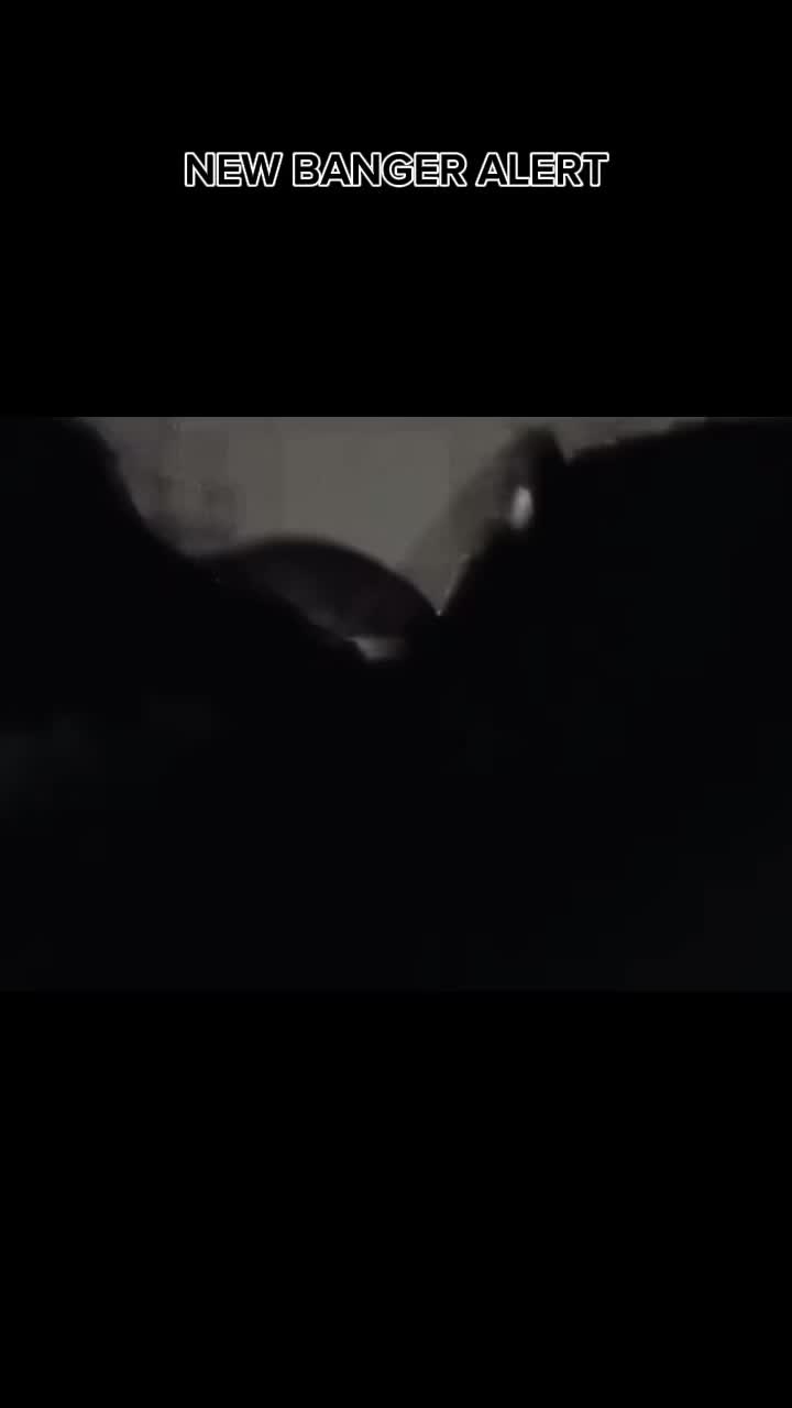 @zaporwavevixen