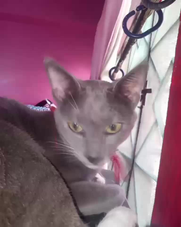 @Dieguinho