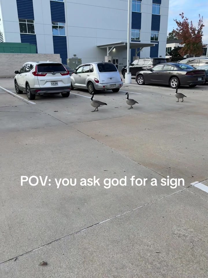 @Yt: Tfamousssvlogs