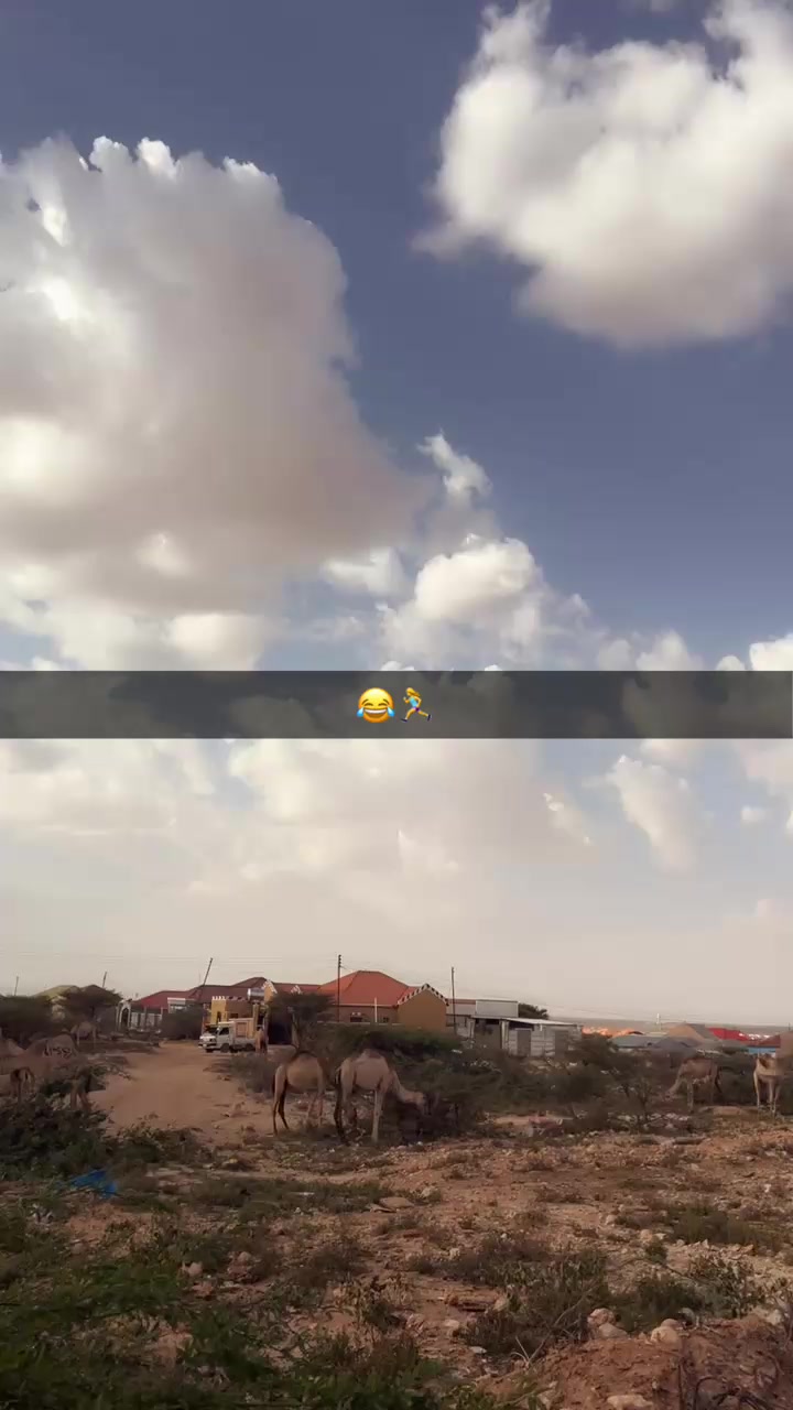 @AFJANO