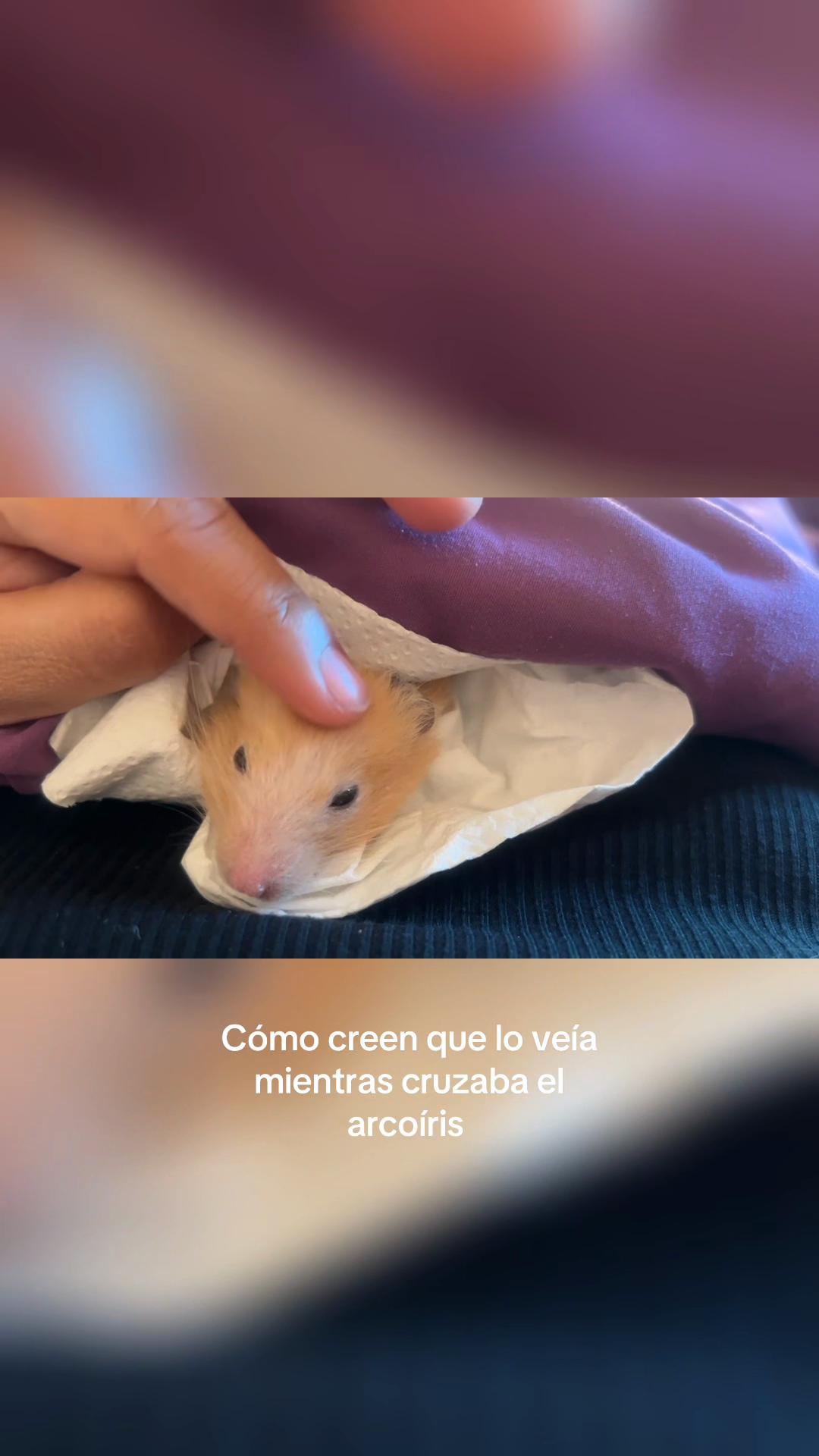 @karycbarron