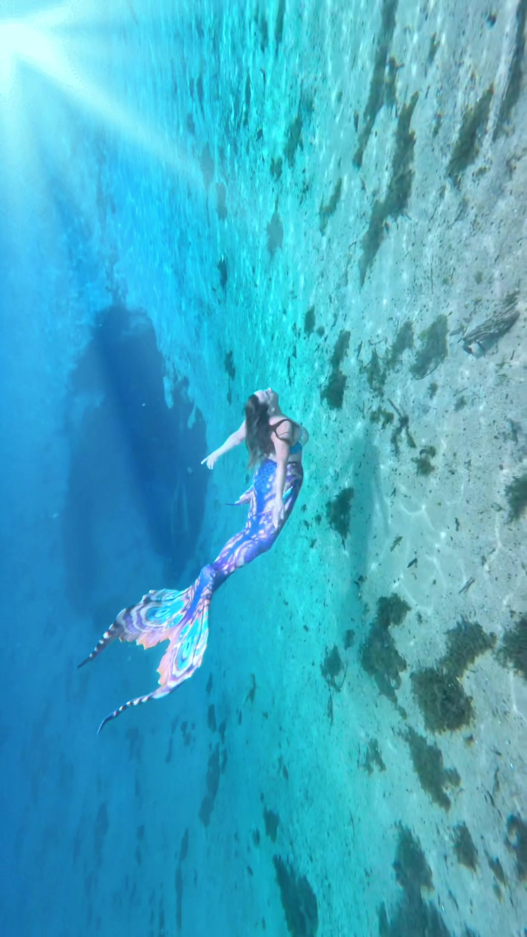 @Gulf Coast Mermaid 🧜&zwj;♀️