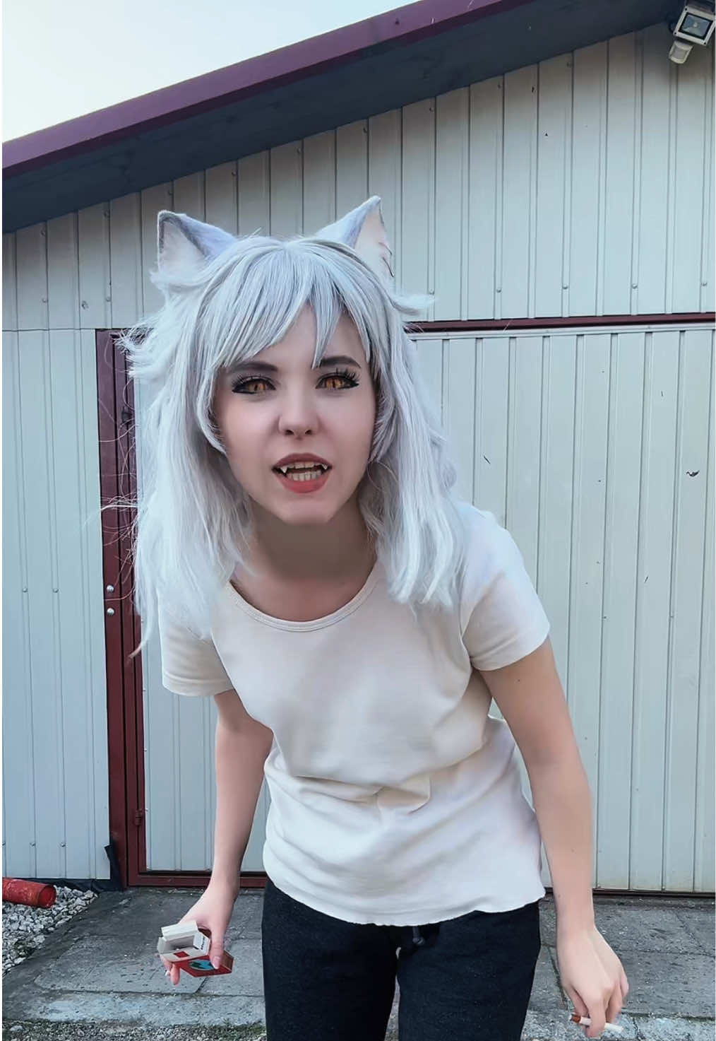 @niaruko_chan