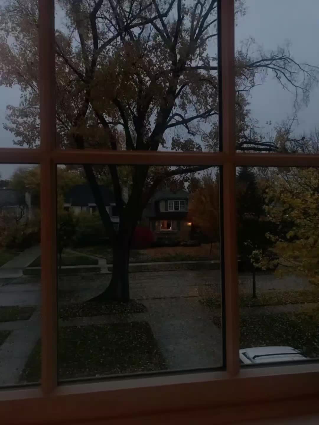 @suNNy