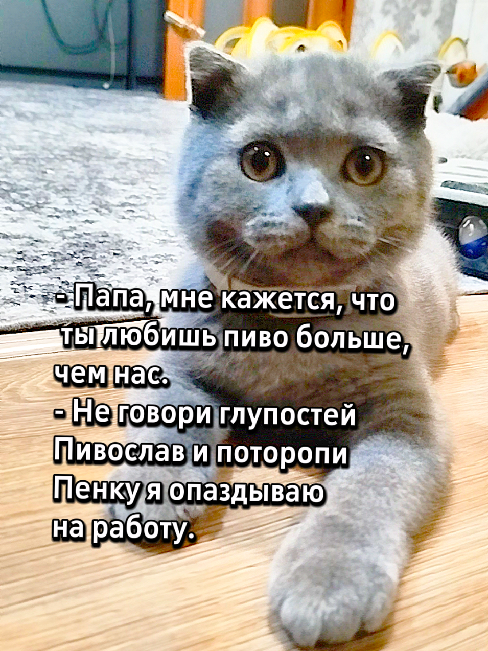 @😻Риччи&Джесси🐈Масик👼&Андрей
