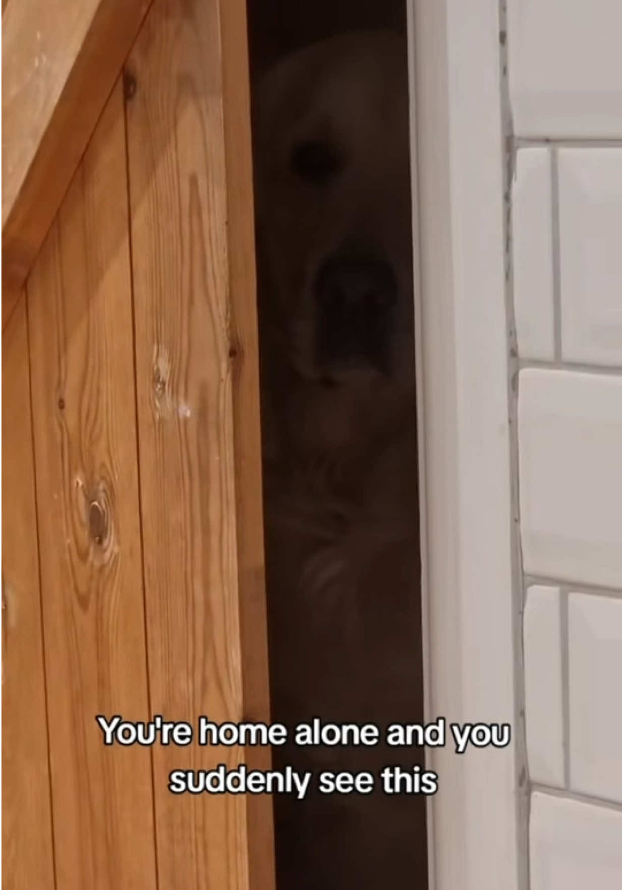 @Bailey