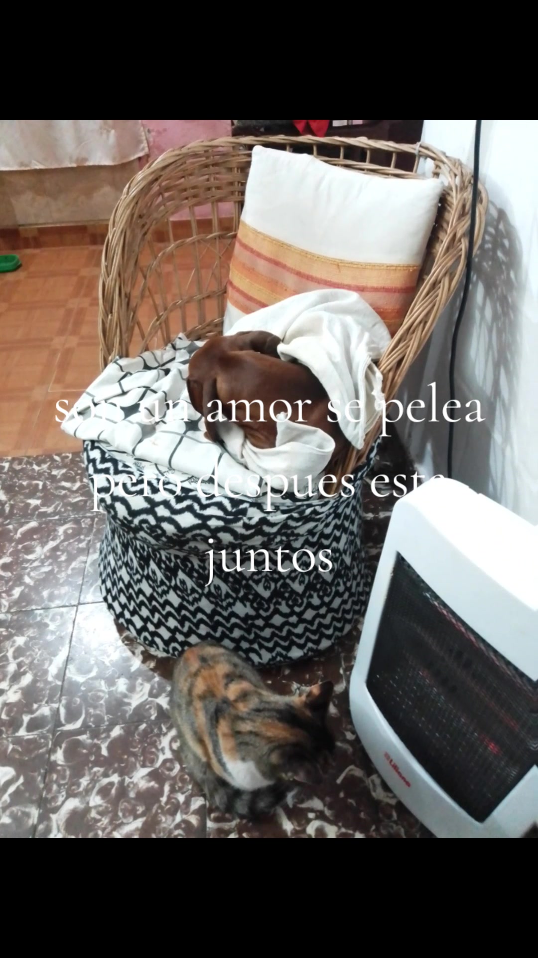 @sandravivianasosa0