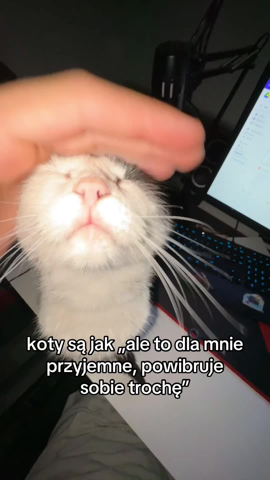 @buba