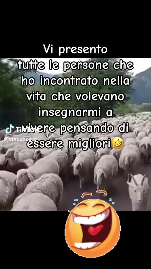 @Carol