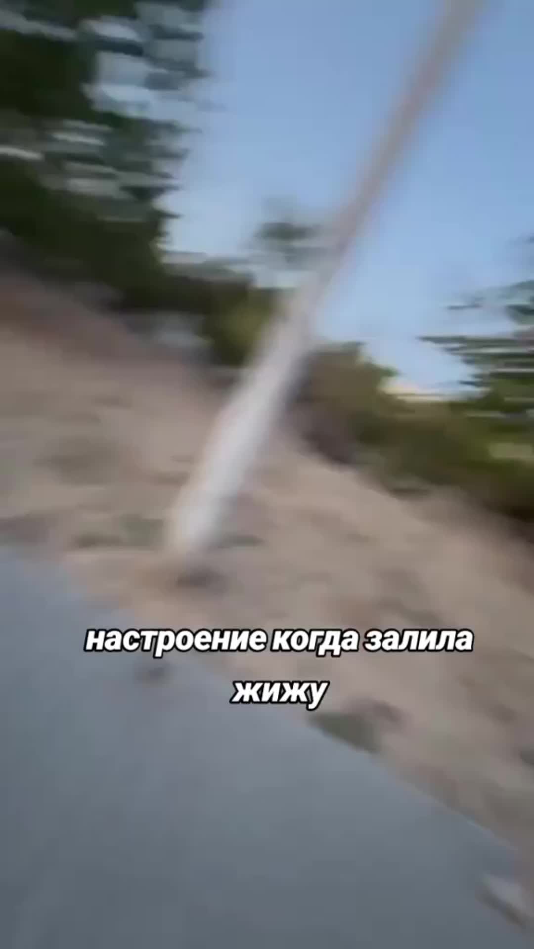 @-_traggerwag_-³⁷