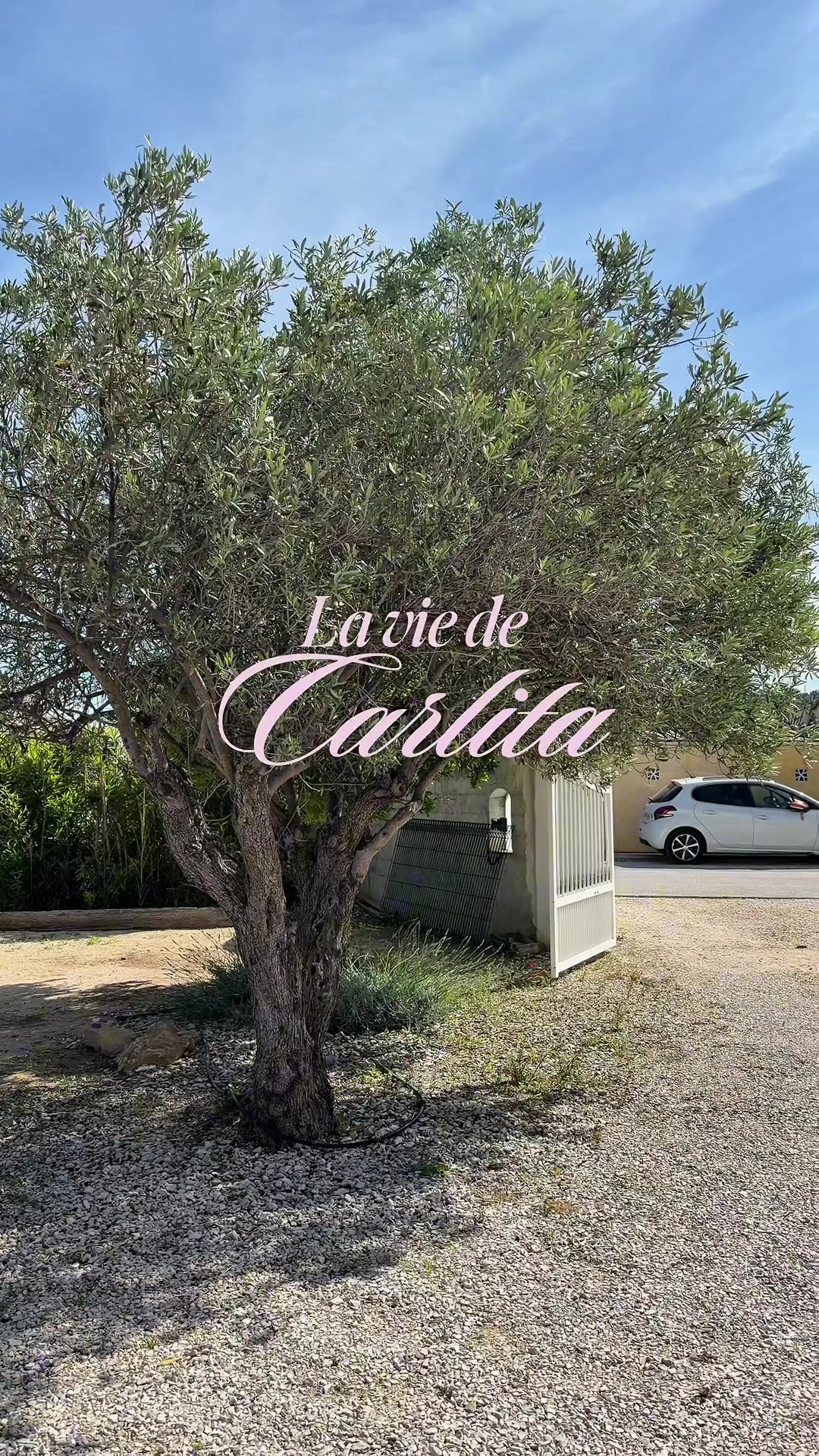 @Carlavva ☀️