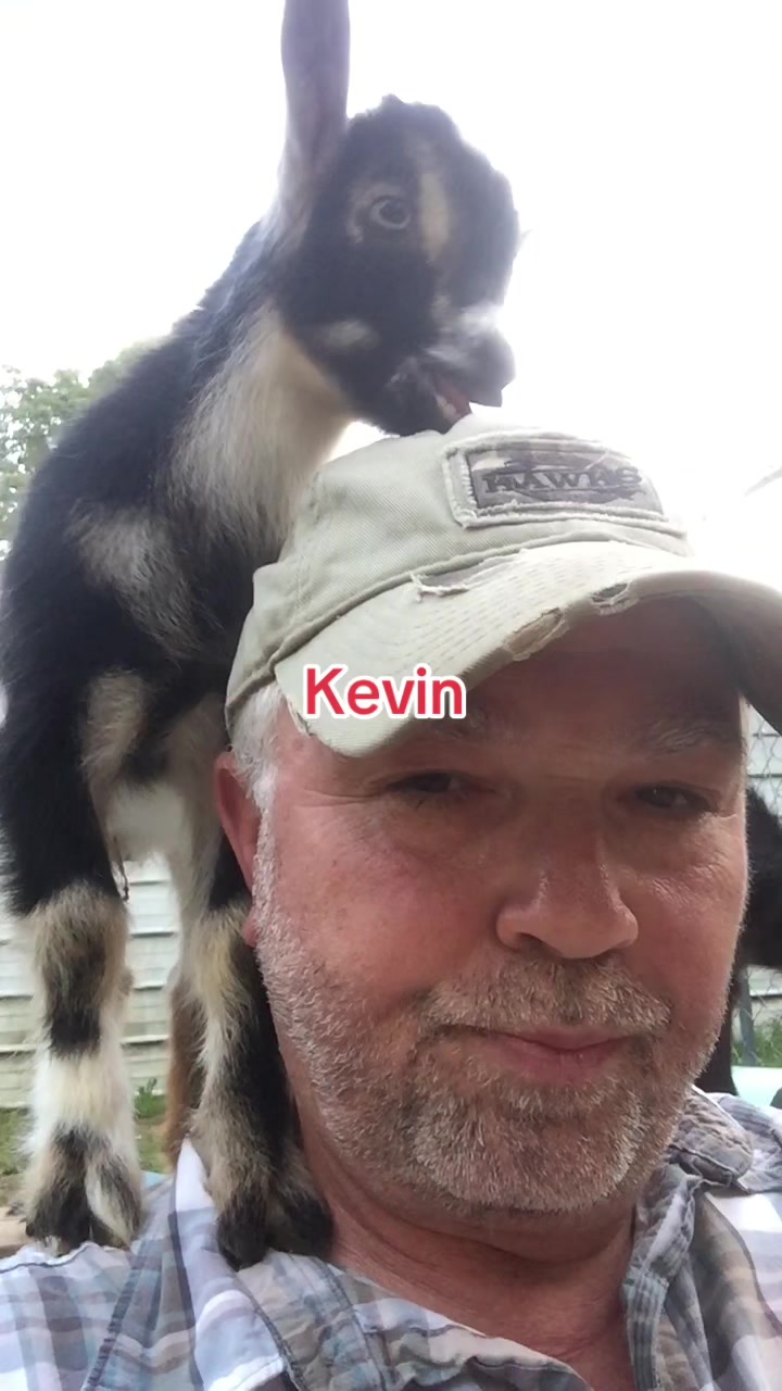 @MrAnimalRescuer