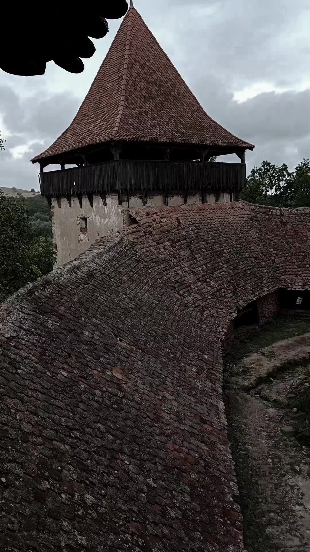 @TreeTales