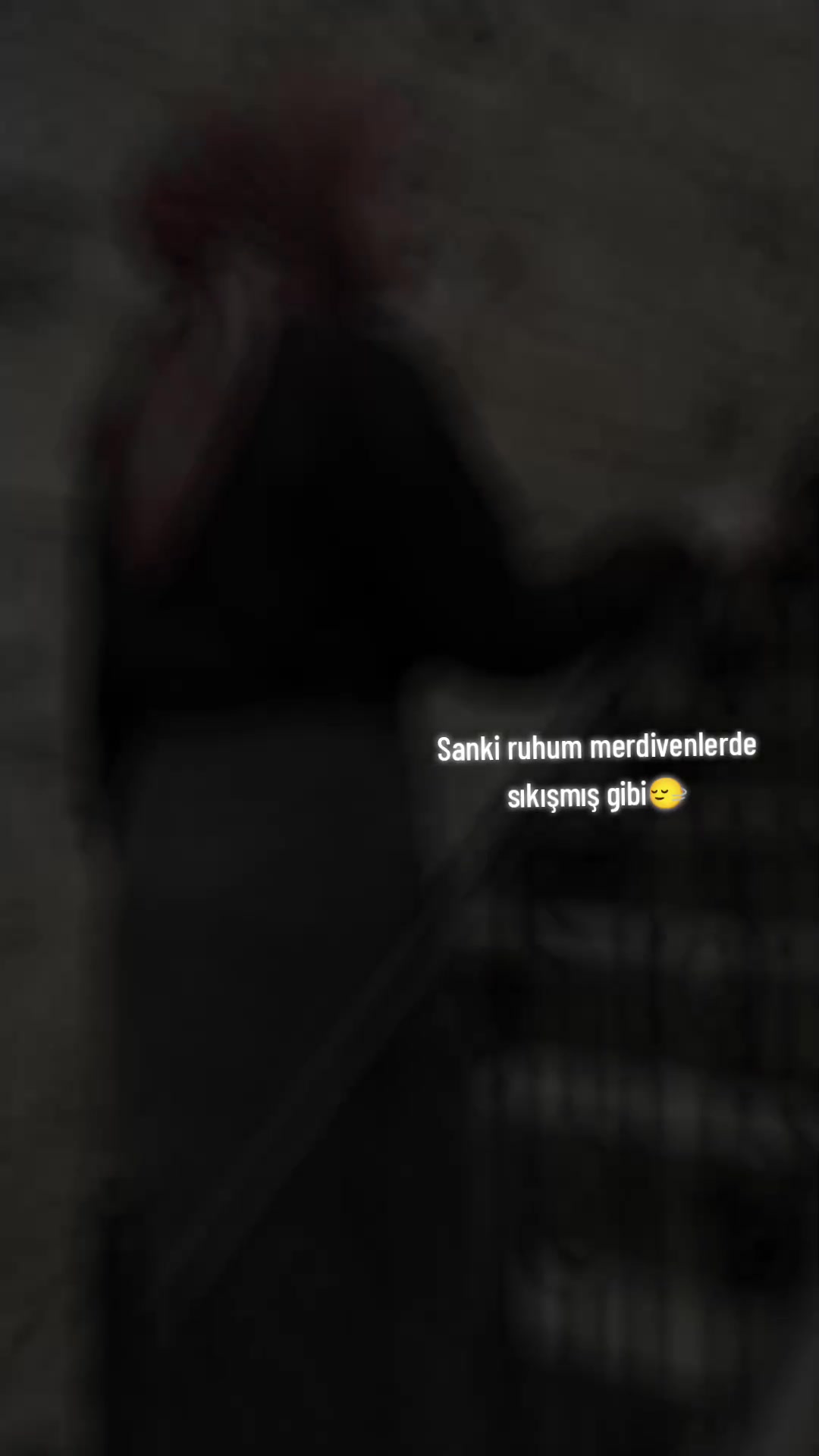 @𓆩❉LƐƳLAƁUƇAƘ❉᭄