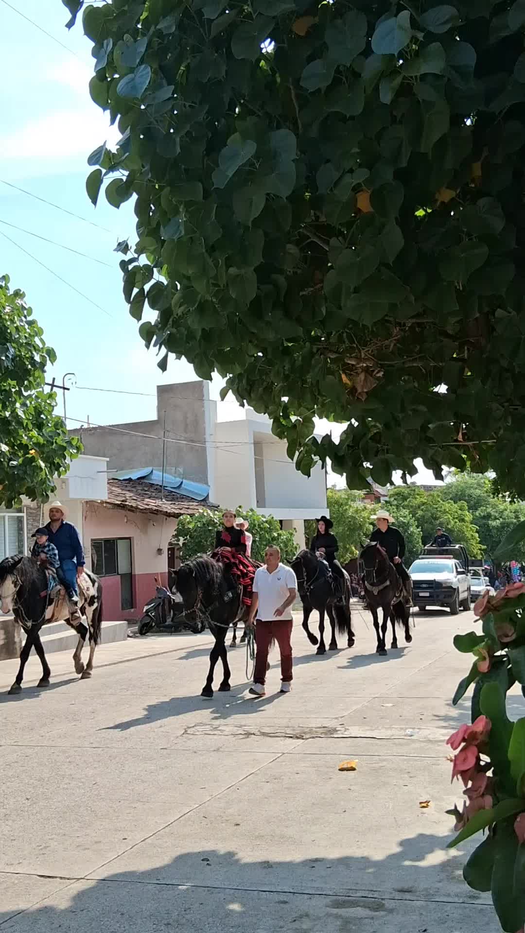 @antigüedades