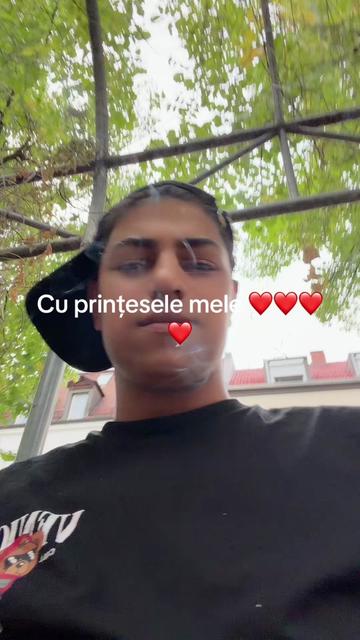 @28.mocanu