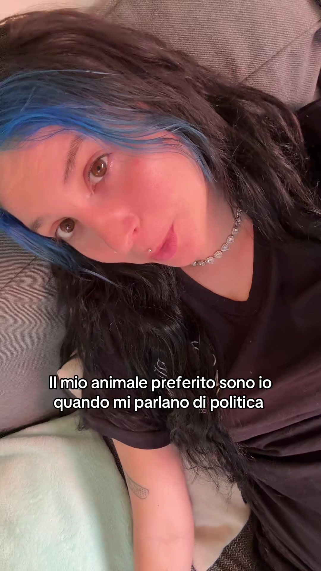 @Icy🦋