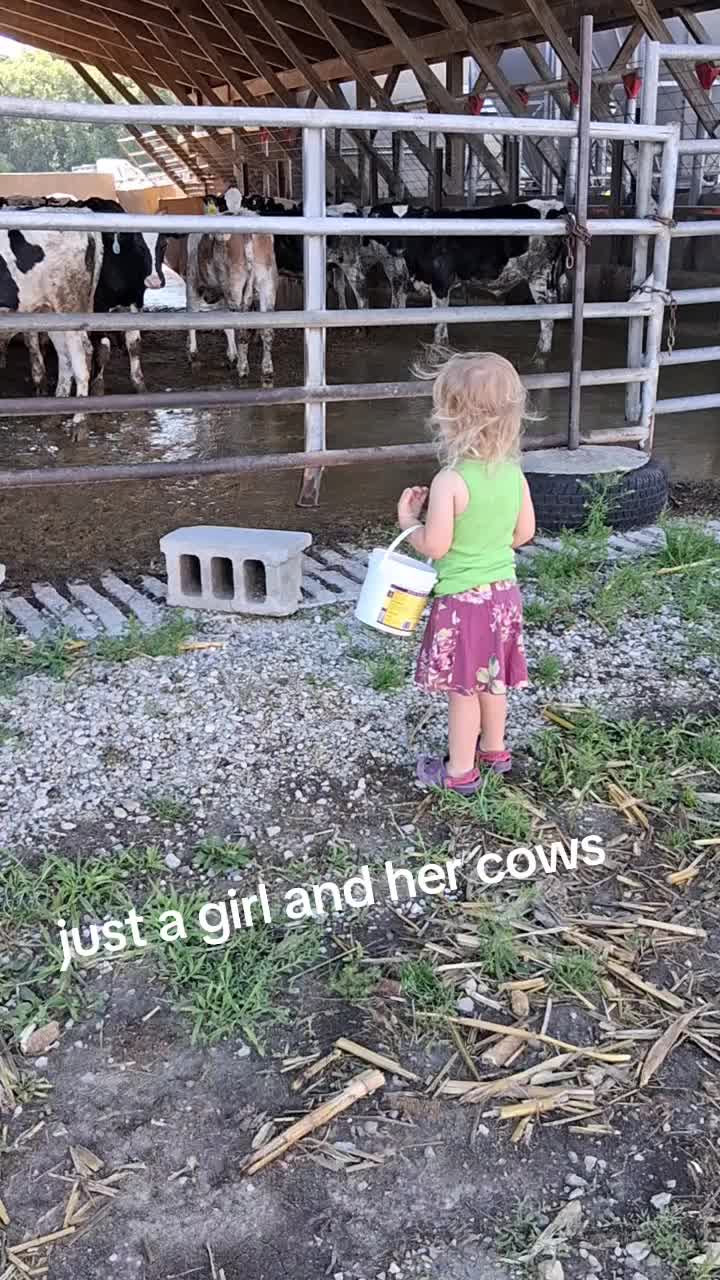 @Taylor | Sah{farm}m