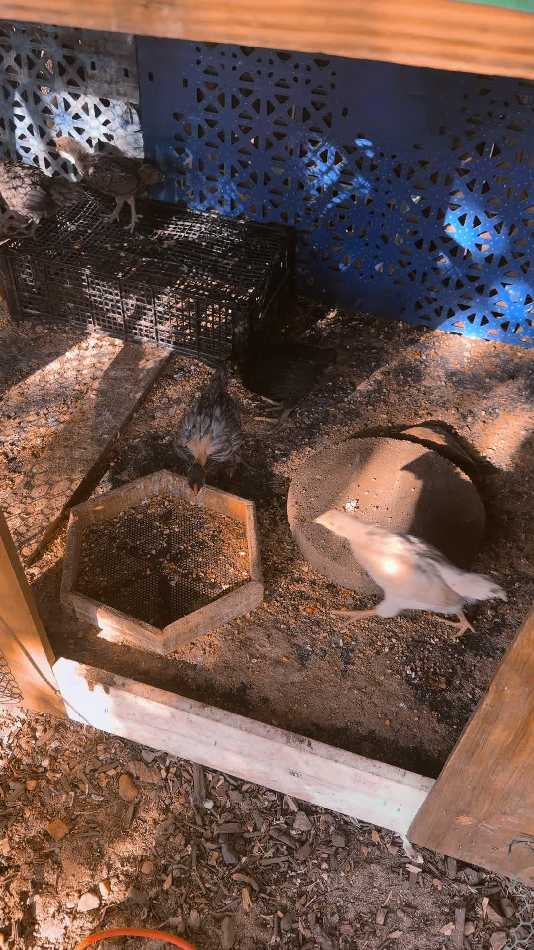 @ð«ð©ðŽFlaquisð©ðŽð«