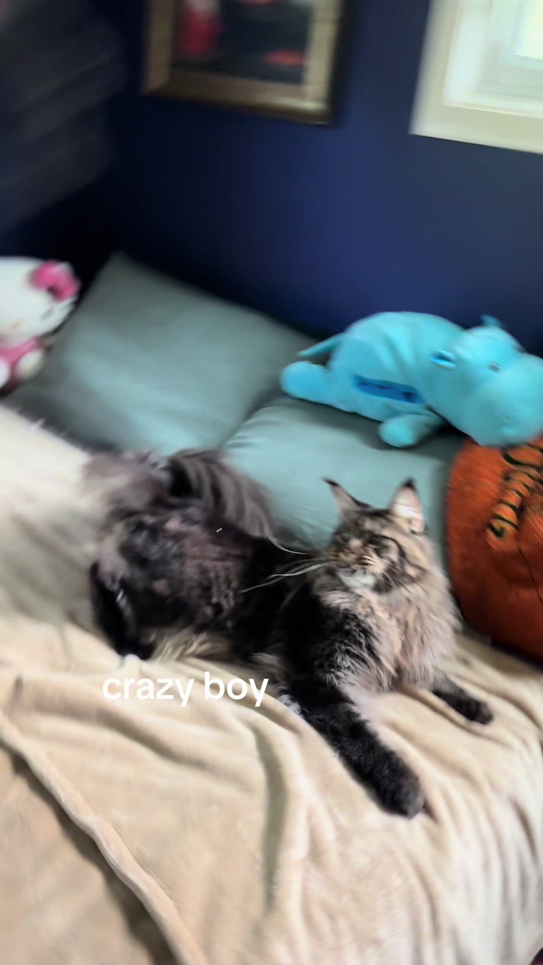 @maryyy🍄🧚🌙🐈⬛