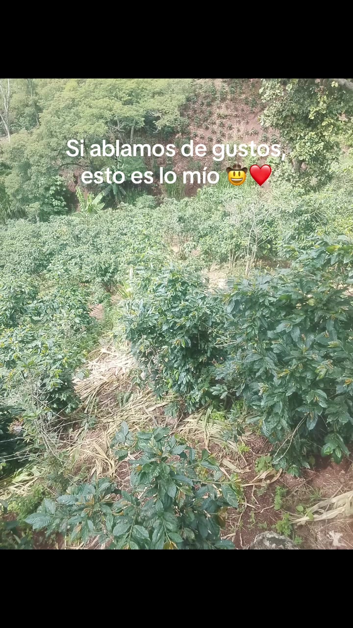 @Fani Murillo