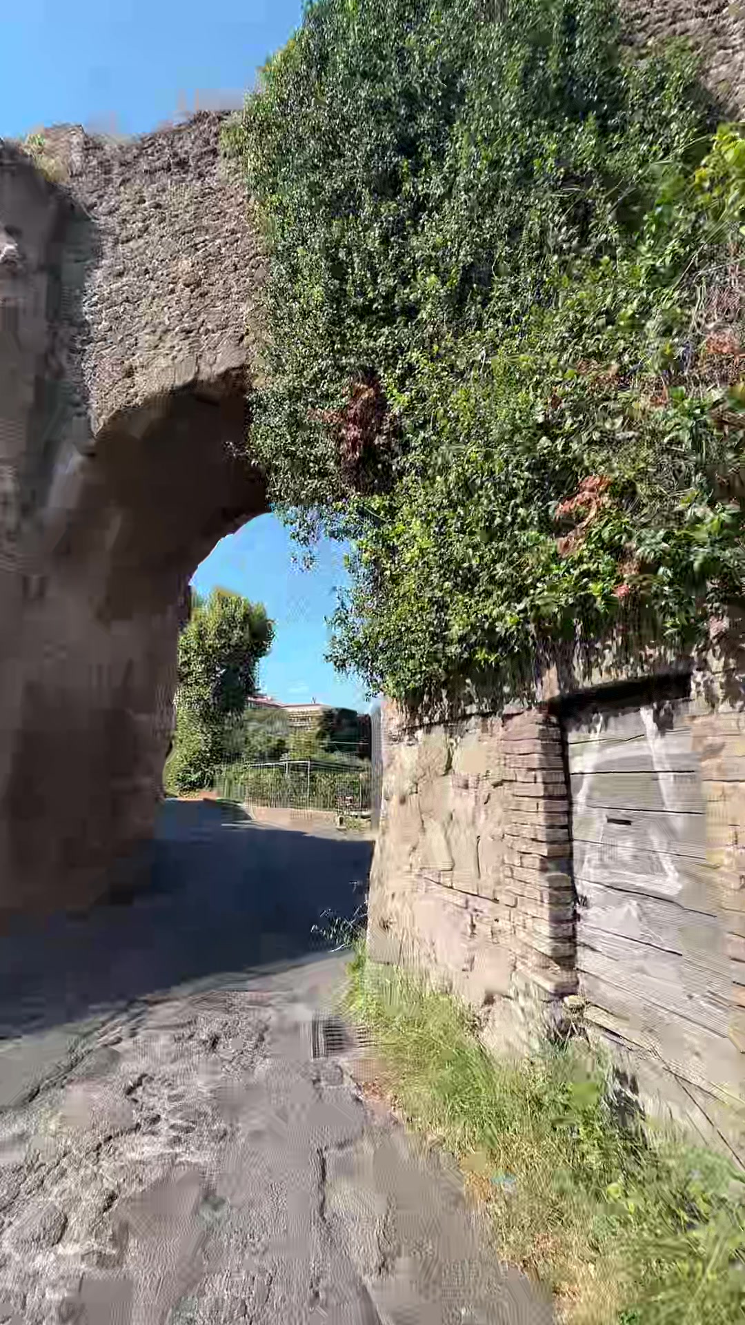 @vivaioanticogarden