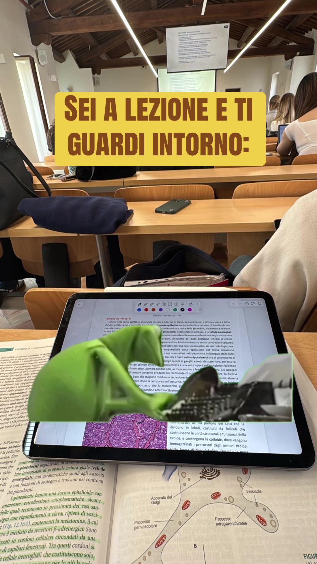 @appuntiamo