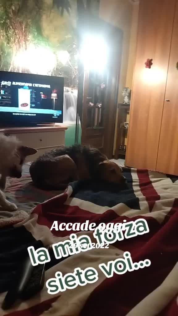 @Moni Monik