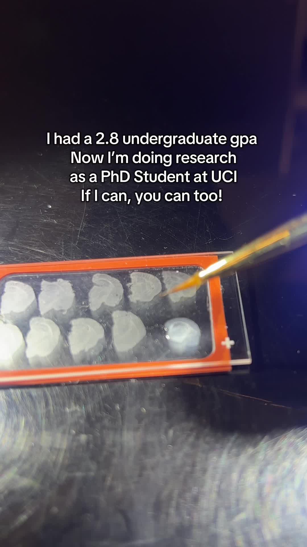 @foodiegrad