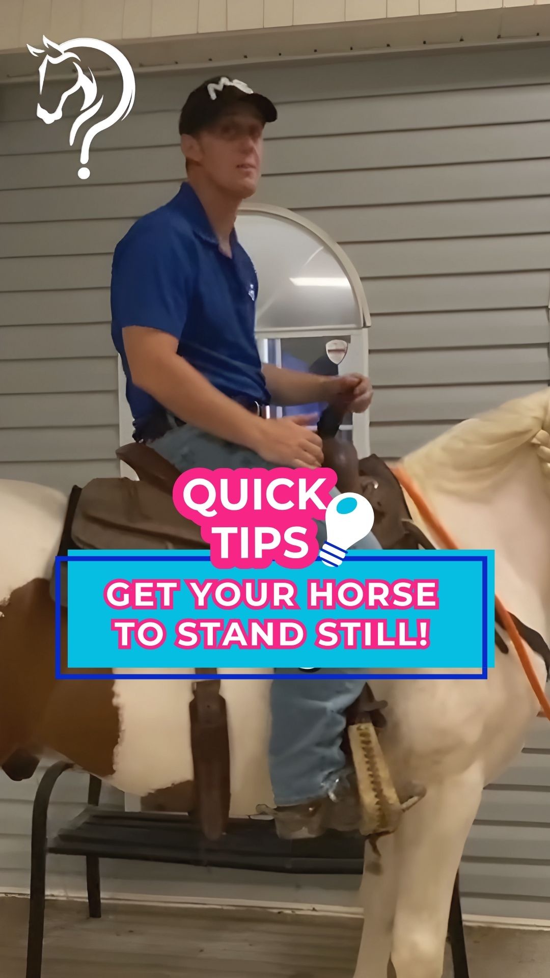 @Horse Help