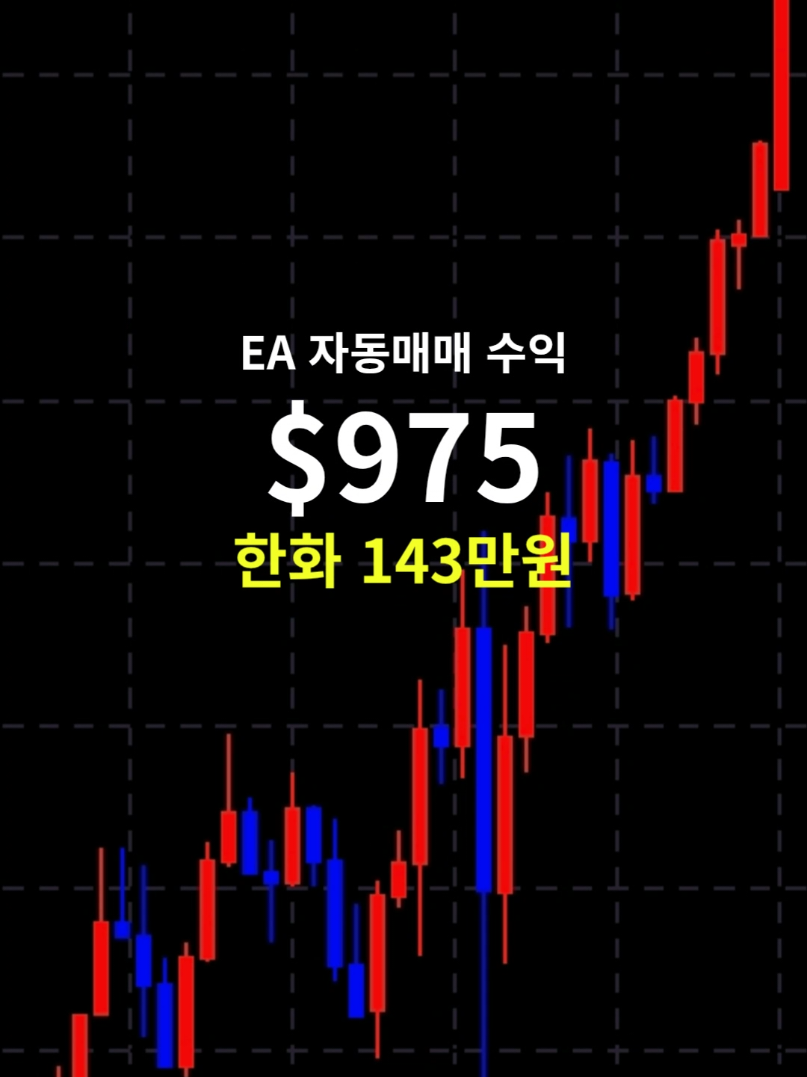 @독싸 &bull; 개인 트레이더