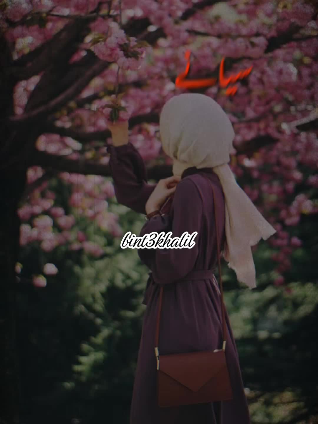 @Umaira