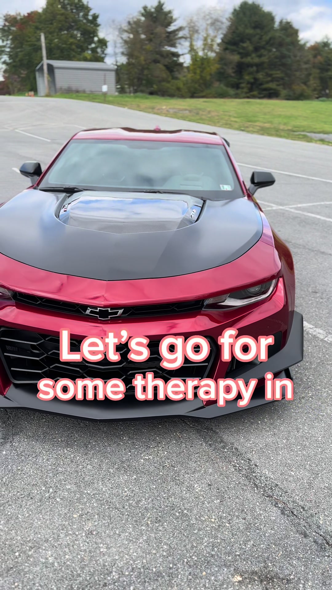 @VR ZL1
