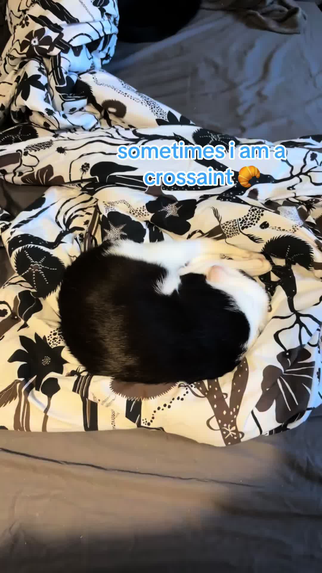 @ʝ&alpha;&iota;ѕѕ&iota;😌