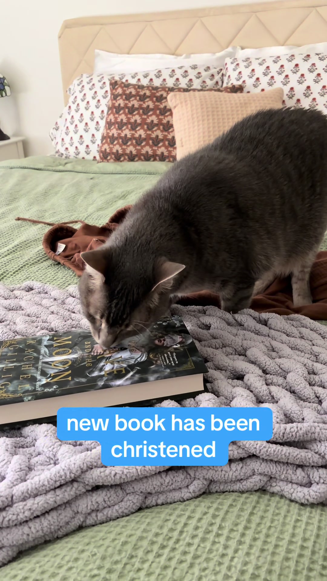 @sauceyjoceyreads