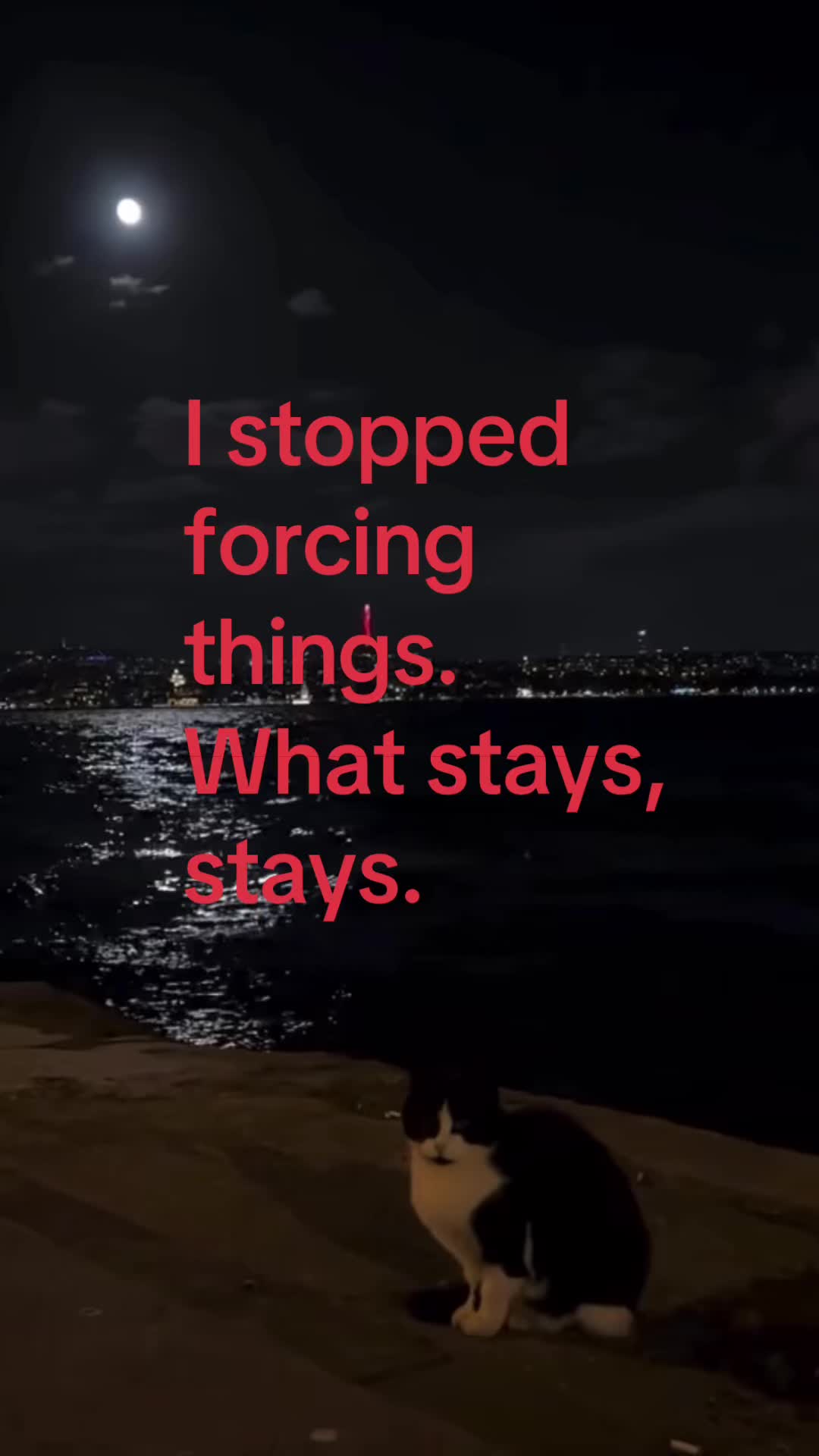 @🫧